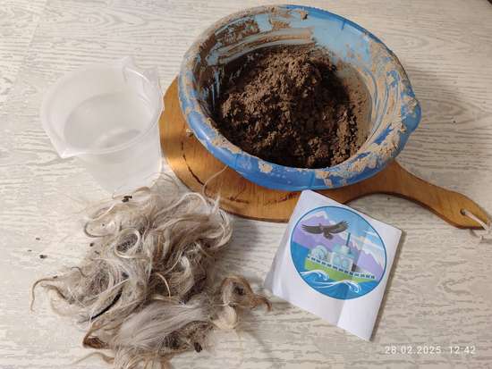 Автор работы