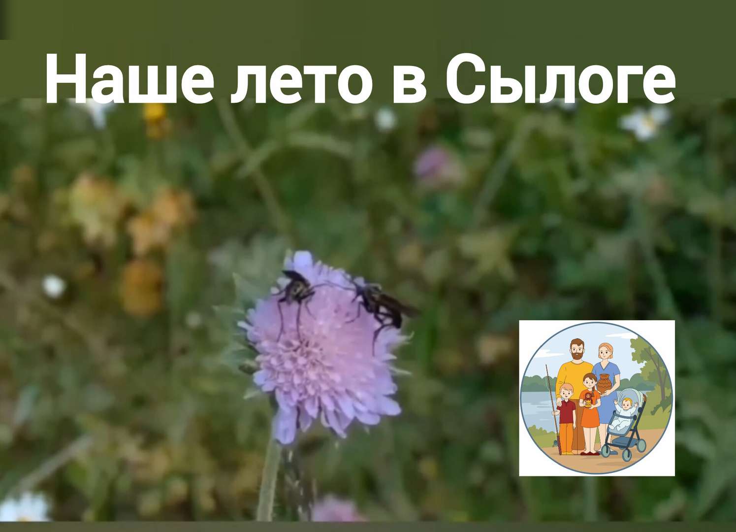 Отправили видео на конкурс.