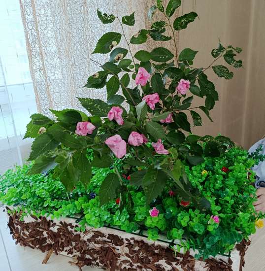 Багульник-символ края