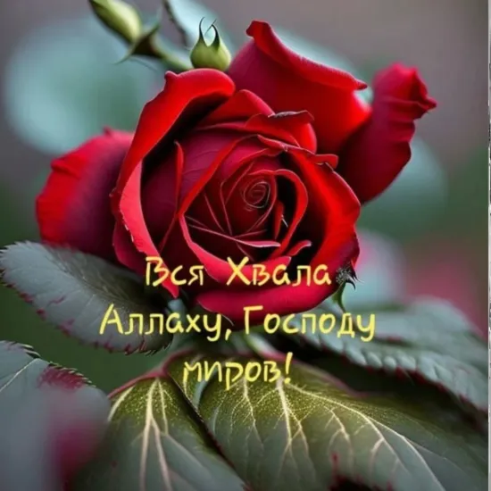 Манкулиева Дженет Махмудовна