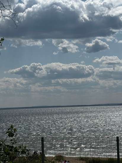 Автор работы