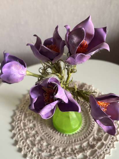 Забайкальский подснежник