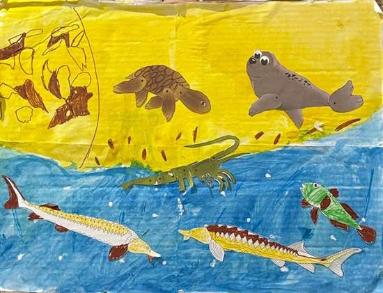 Обитатели моря