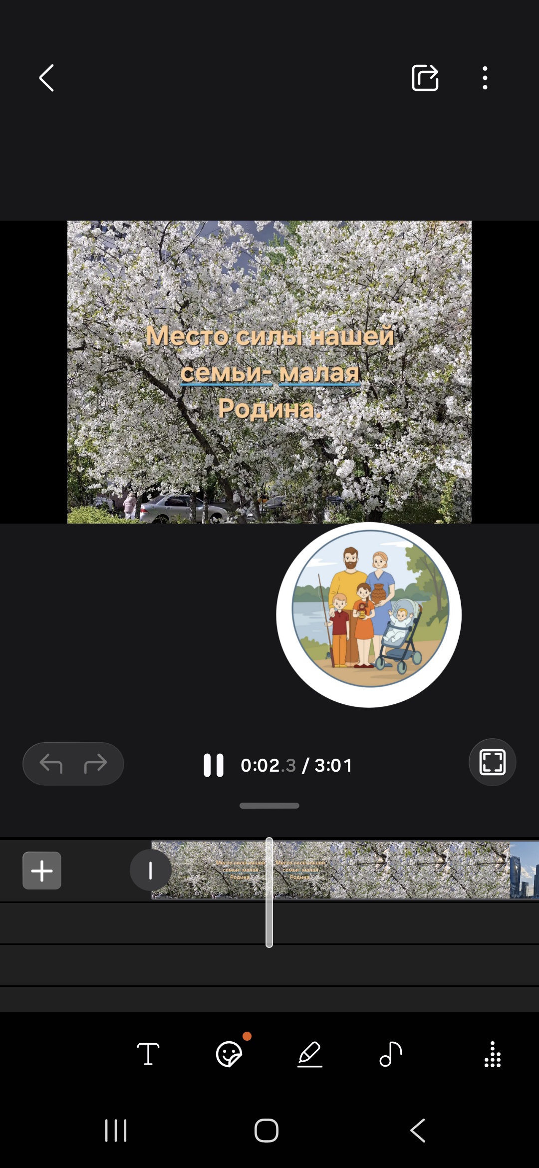 Работали в программе телефона "студия".