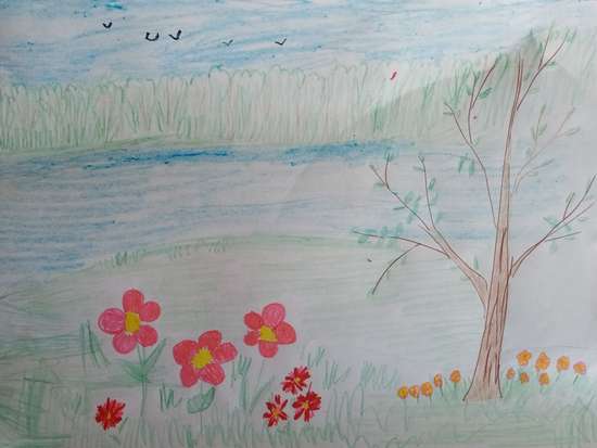 Цветы Забайкалья