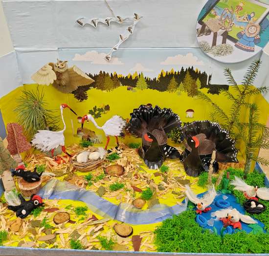 Пернатый мир Югры