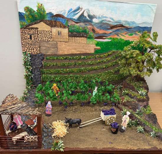 Виноградники Дагестана