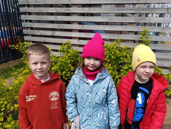 Автор работы