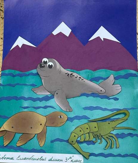 «Морские чудеса»