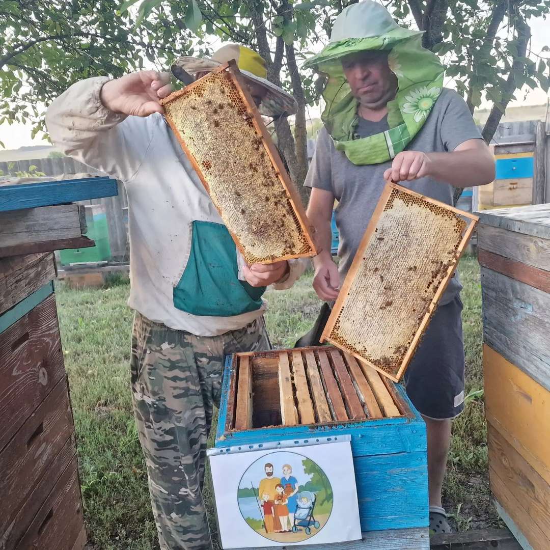 Привет! Меня зовут Ксения, мне шесть лет! 🤗 Хочу познакомить вас с моим дедушкой и папой — они пчеловоды, и это так круто! 