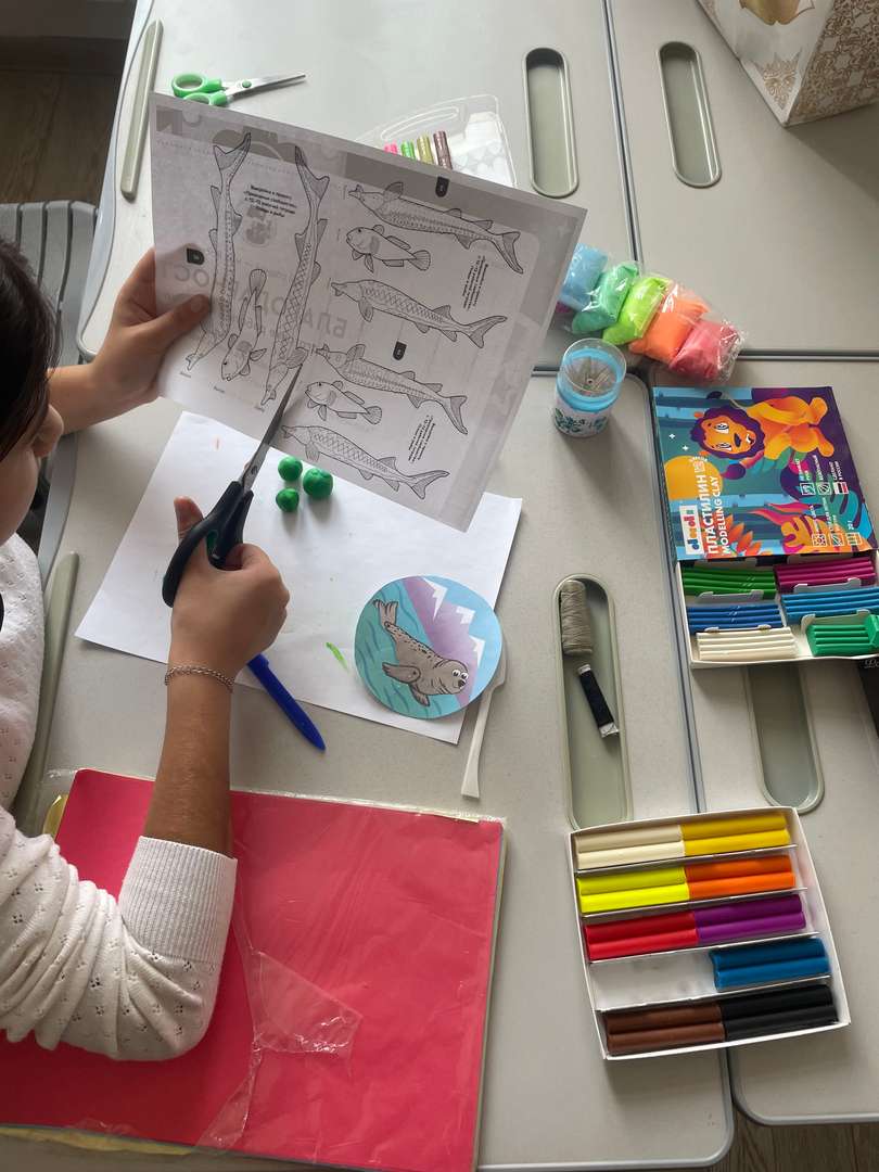 Фотография работы