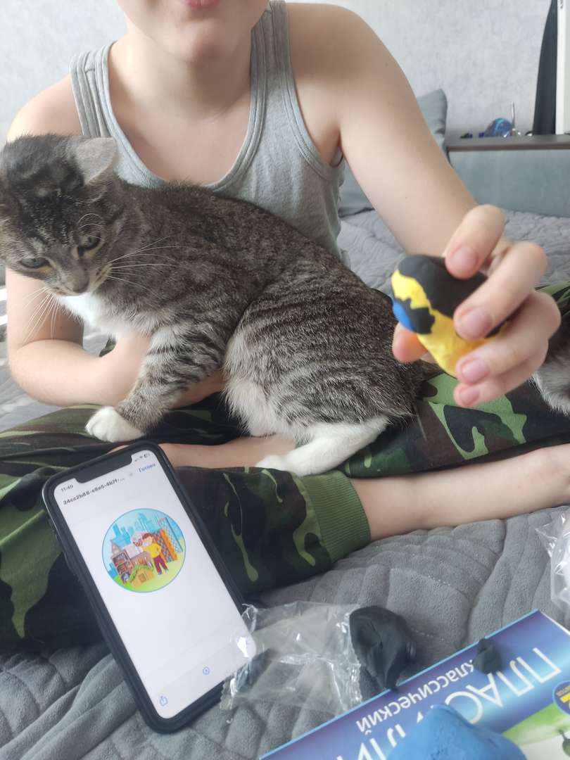 Фотография работы