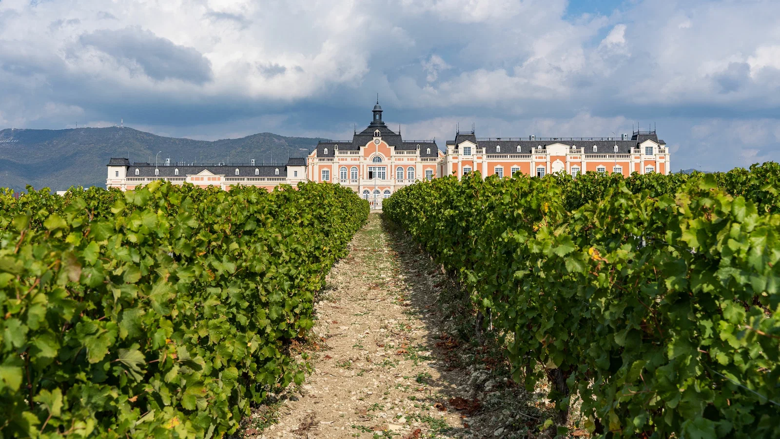 Абрау-Дюрсо: винный день