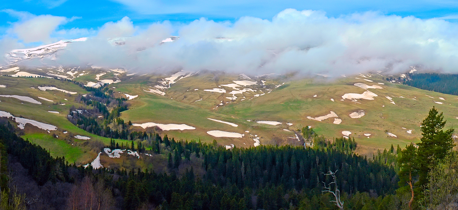 Грузия за 5 дней: Тбилиси, Кахетия и Мцхета — 4