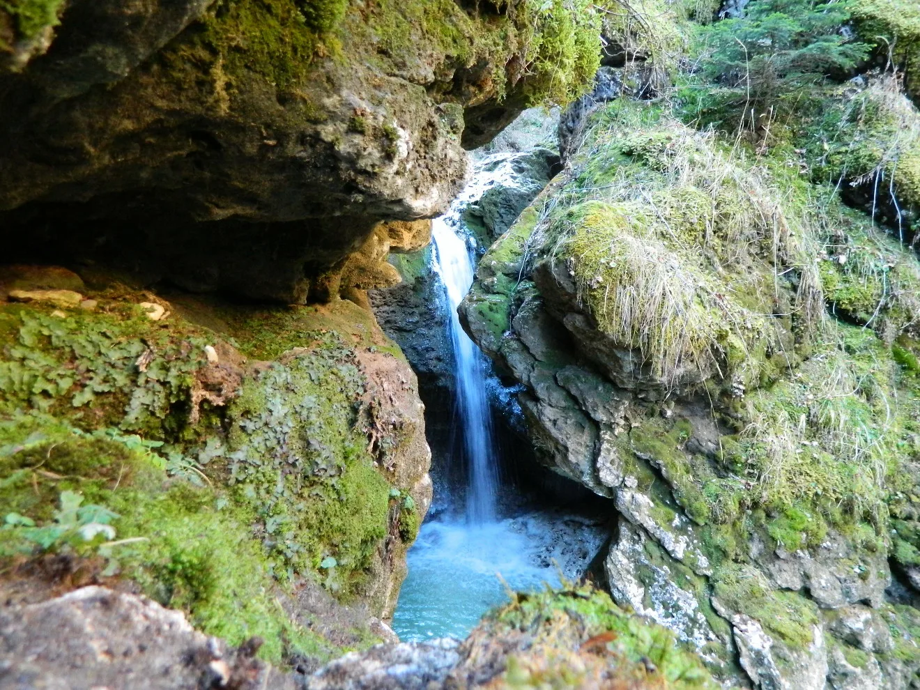 Парк Лога — сказочный парк у Каменска — 7