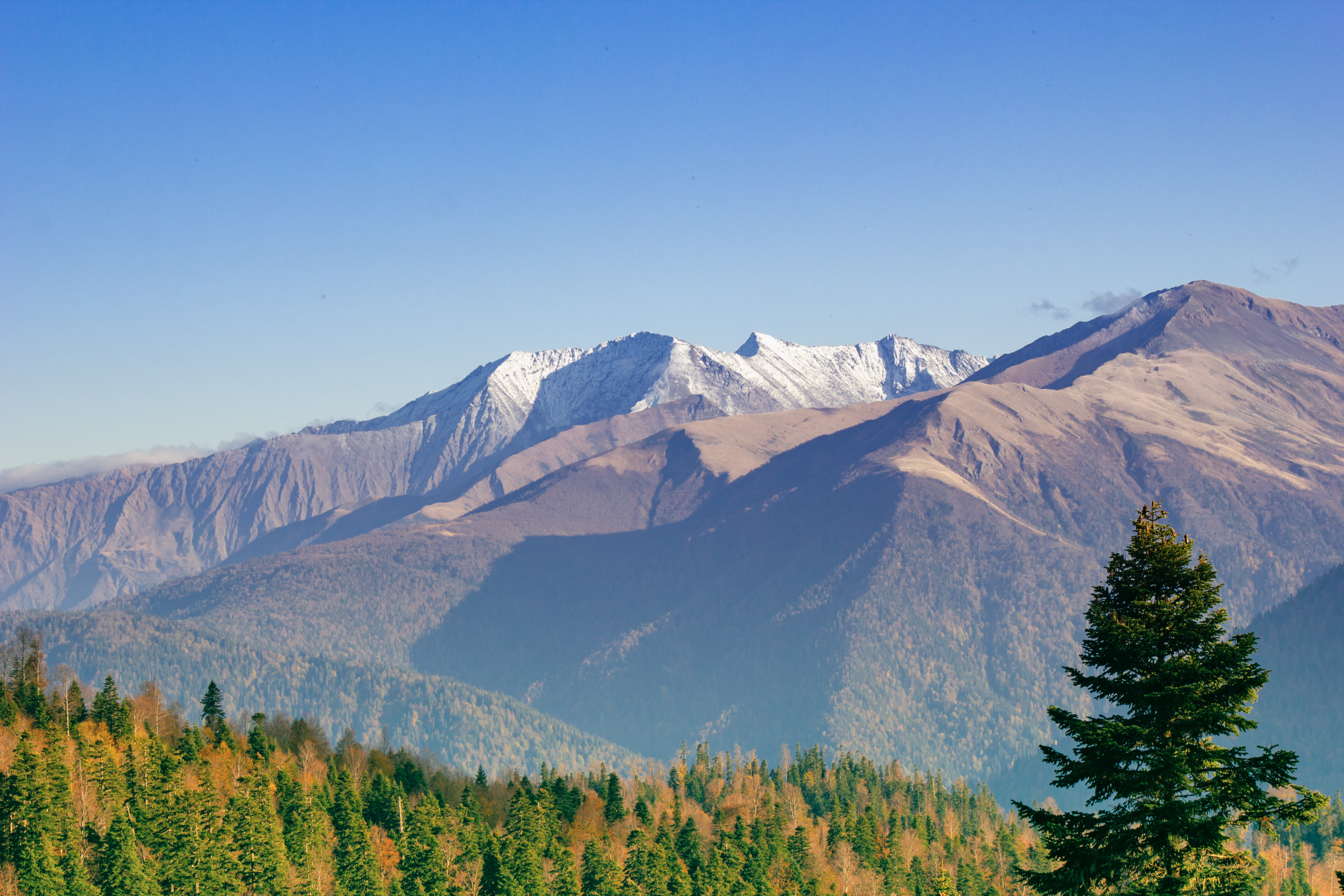 Обзорная экскурсия по Москве. Посещение территории Московского Кремля — фото 1