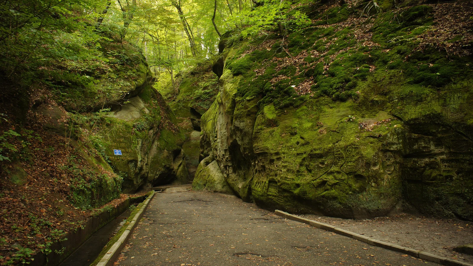 Горячий Ключ + вечерний Парк Галицкого