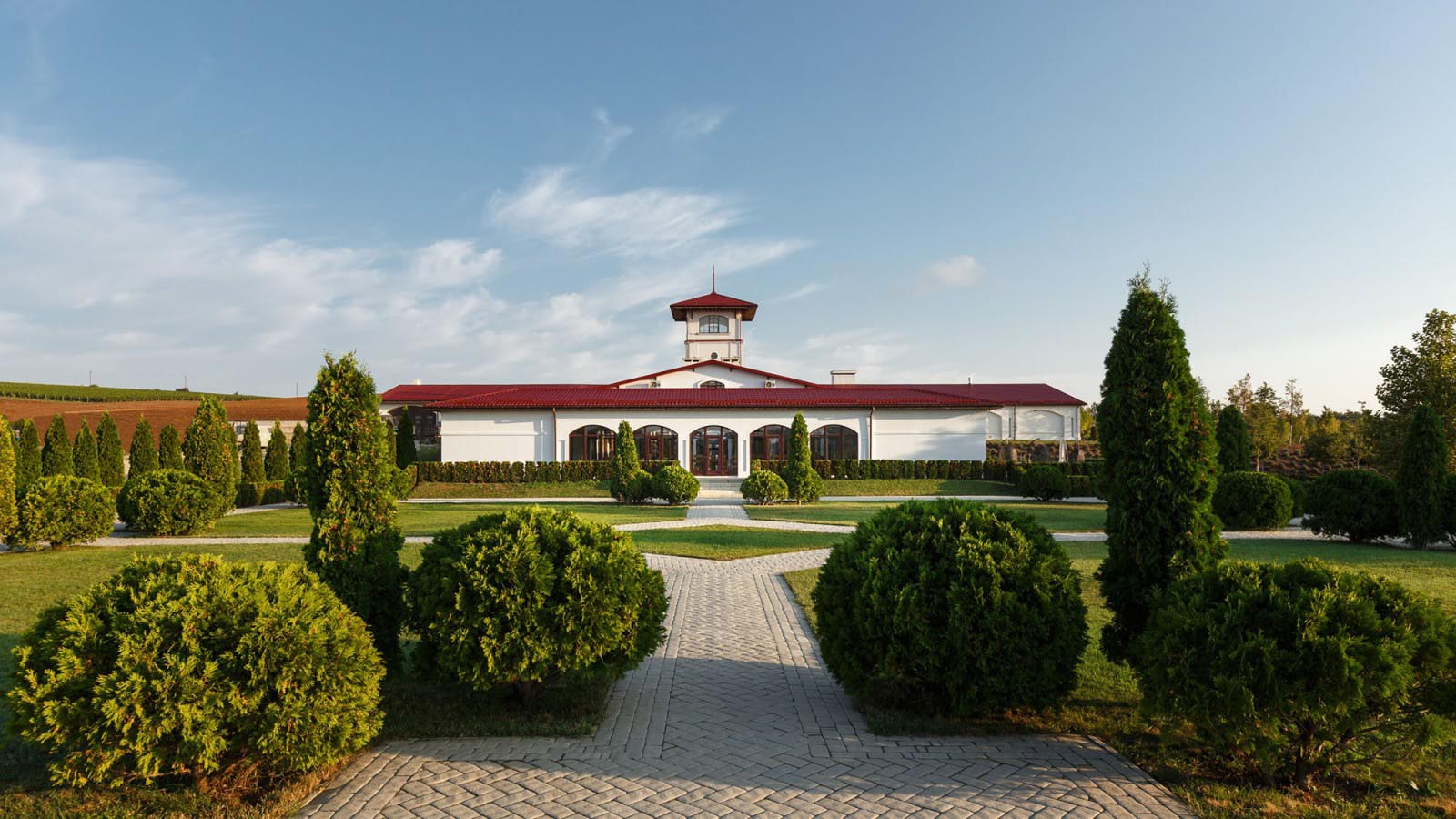 Кубанская лоза: Лефкадия, винодельня «Мысхако» и вечер в Абрау — 5