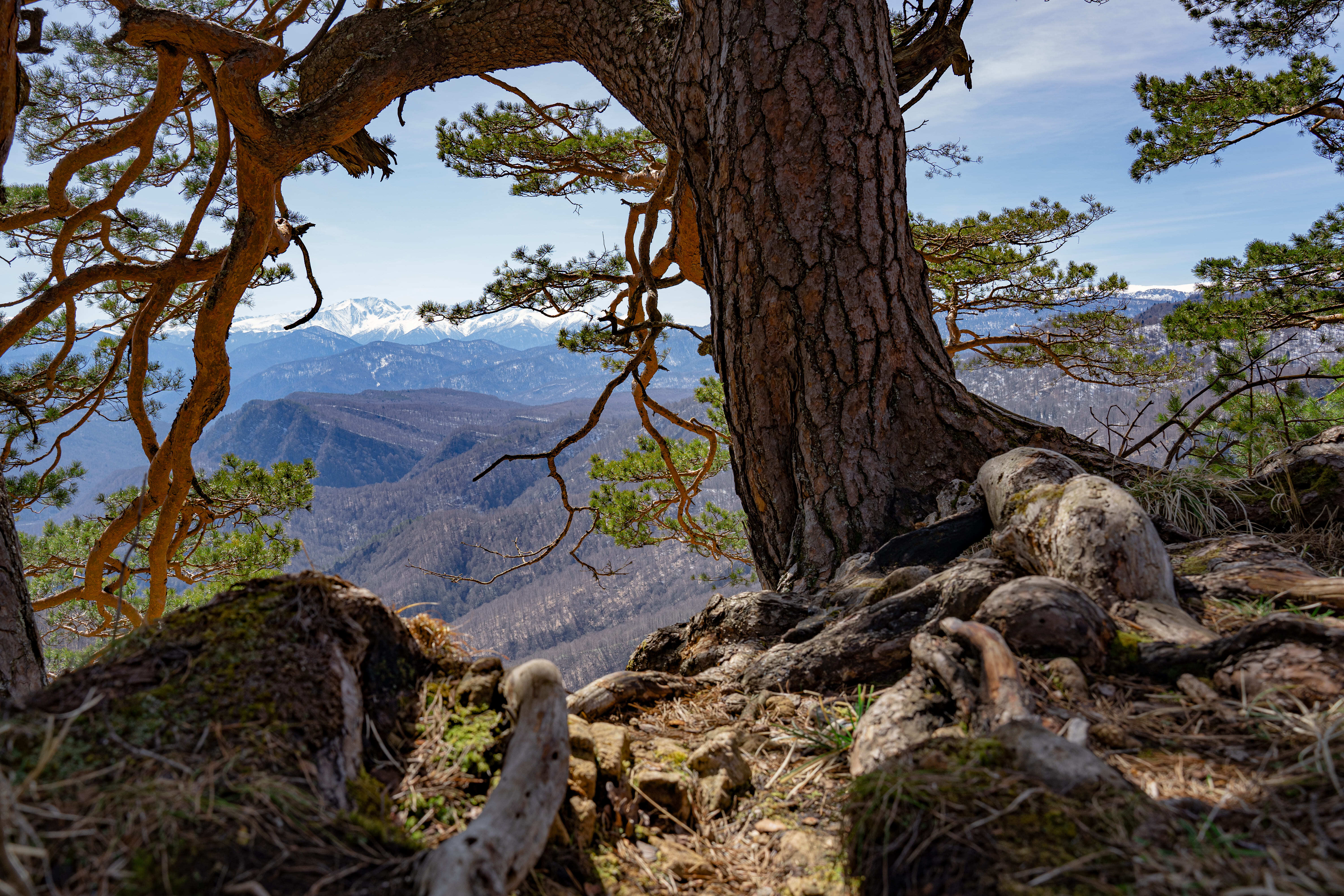 К зубрам, замкам и БелАЗам — 10