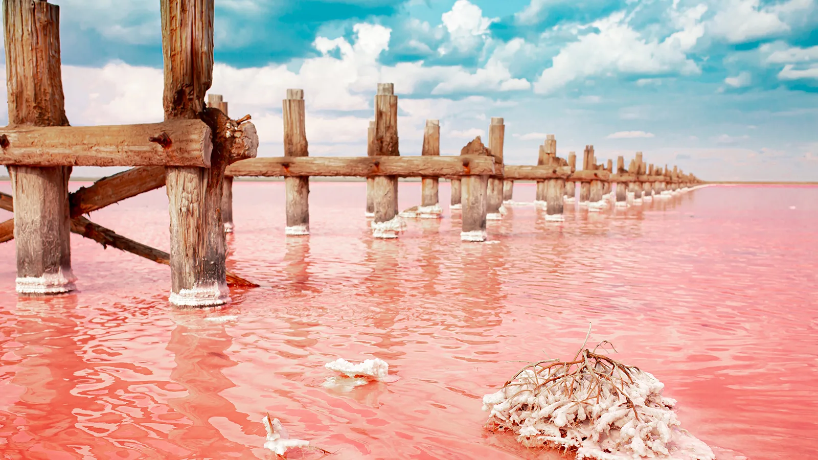 Фестиваль тюльпанов в Калмыкии: Страна Бумба, степи и барханы — 10