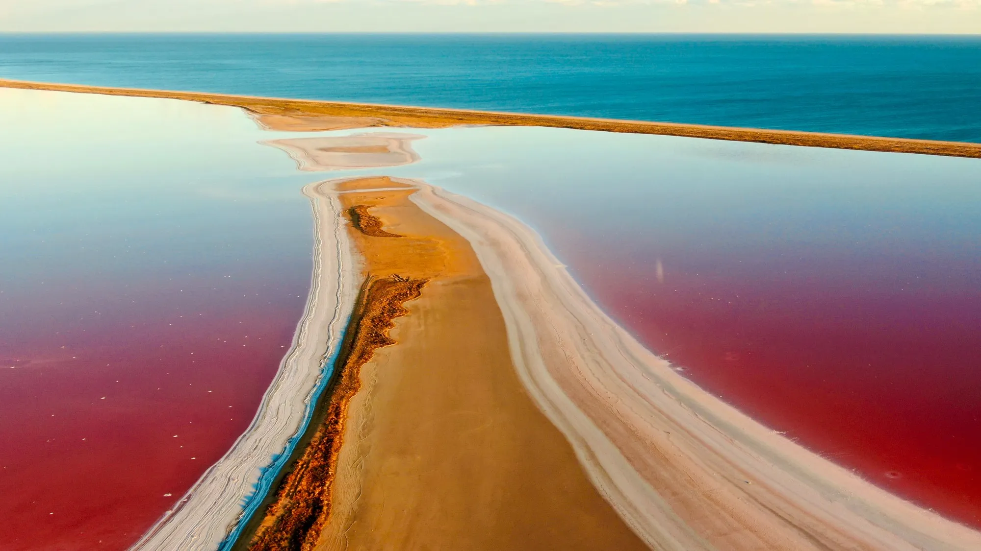 Тюльпаны мыса Опук, Кояшское озеро и Керчь