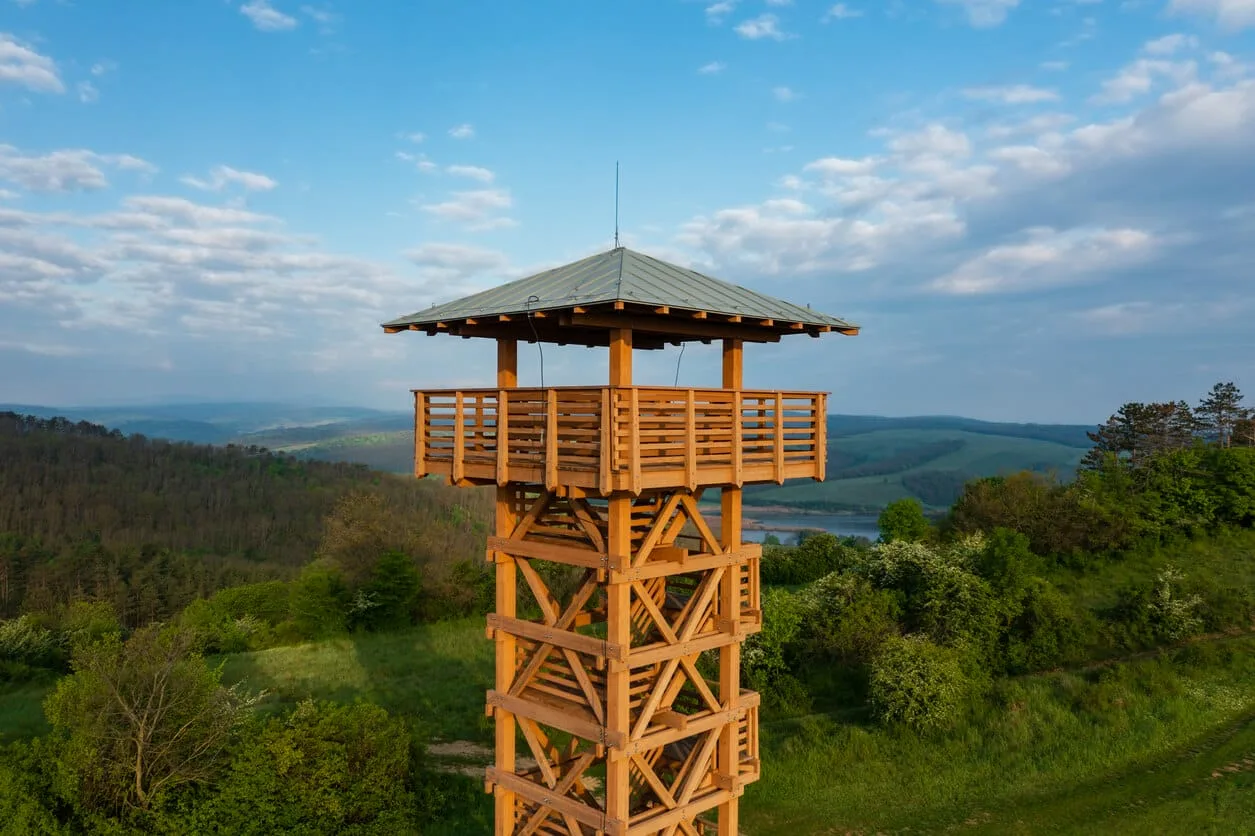 Тюльпаны Ростовского заповедника и эко-тропы — 6