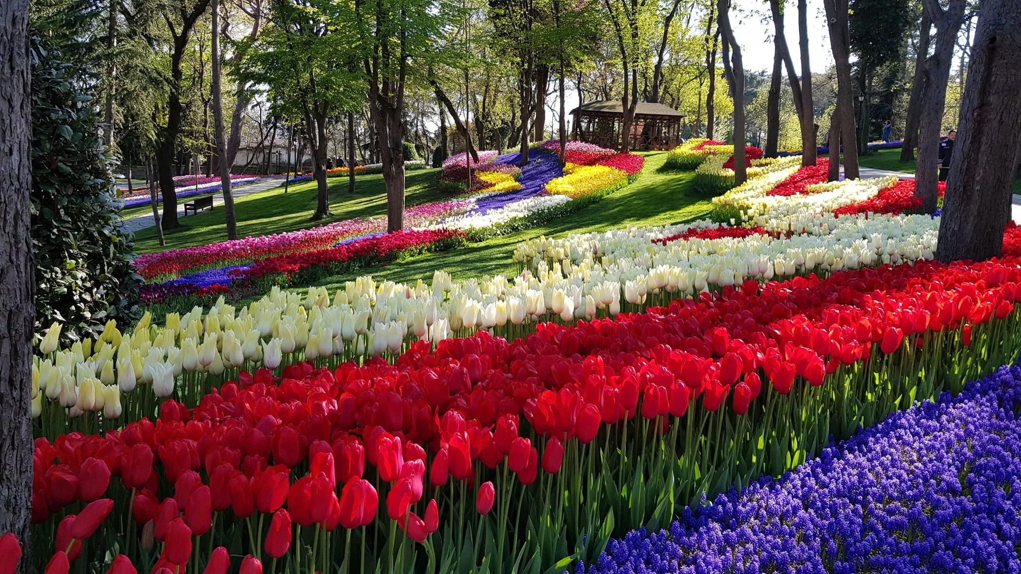 Свободное утро и вылет — фото 1