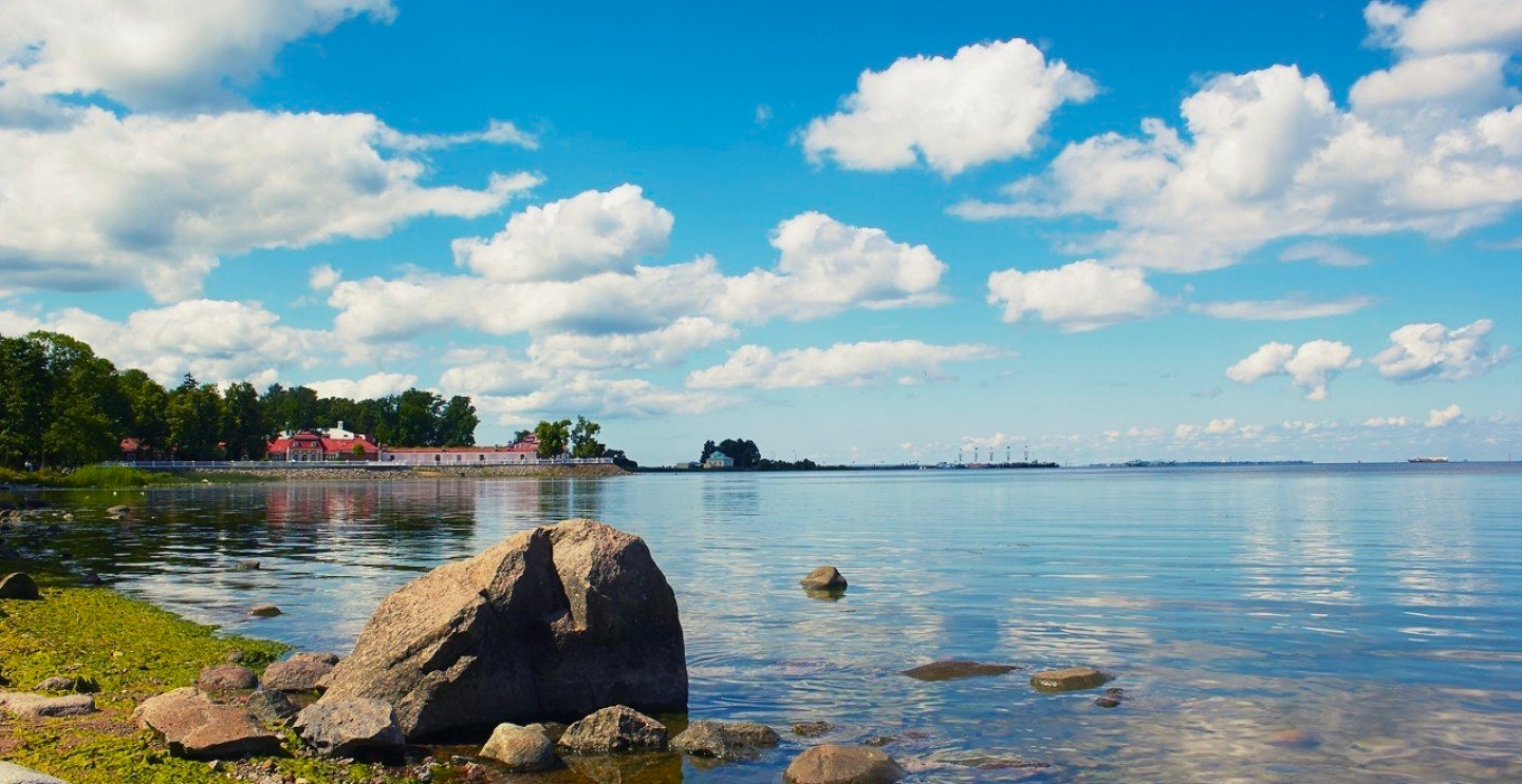 Свободный день — фото 1