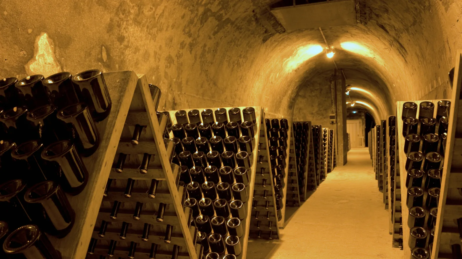 Сказочное побережье: Старый Парк, Шато-Пино и Абрау-Дюрсо — 6