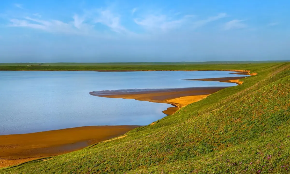 Тюльпаны Ростовского заповедника и эко-тропы — 3