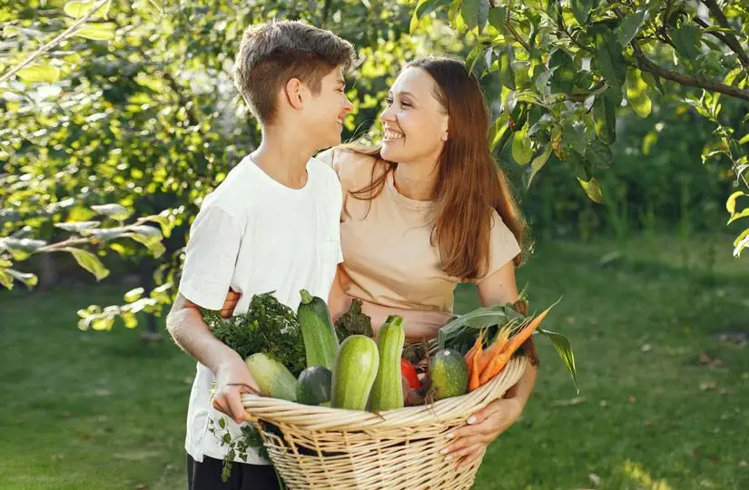 Пять способов сохранить кабачки: удивите всех вкусными рецептами!