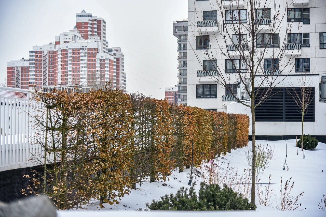 Новостройки от застройщика в Москве - купить недвижимость в ЖК по доступным  ценам