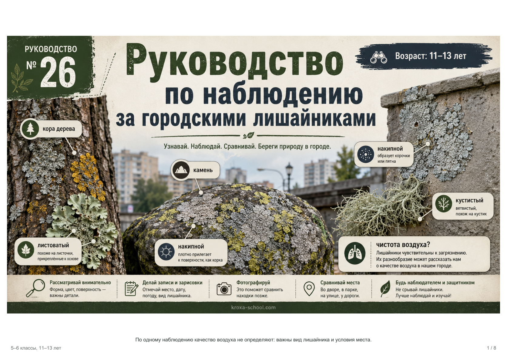 Реальная страница комплекта «Исследуем школьный двор и город», превью 1