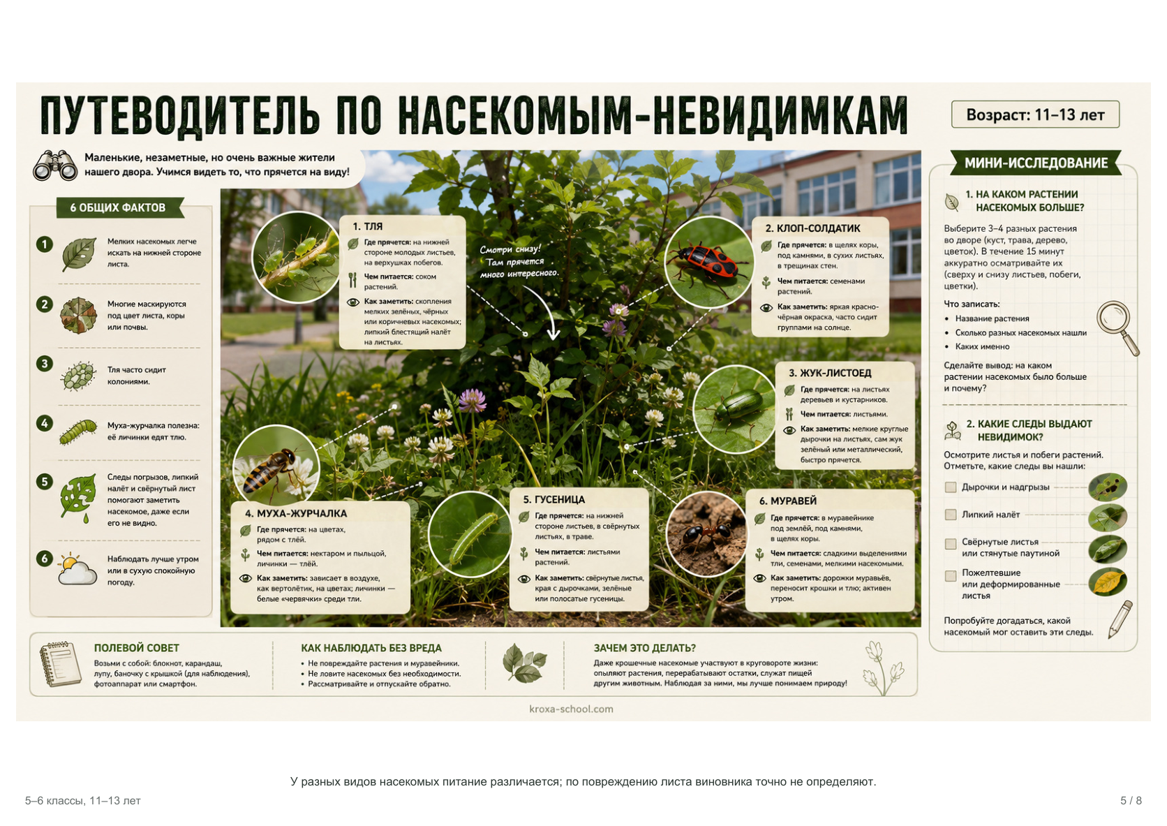 Реальная страница комплекта «Исследуем школьный двор и город», превью 2