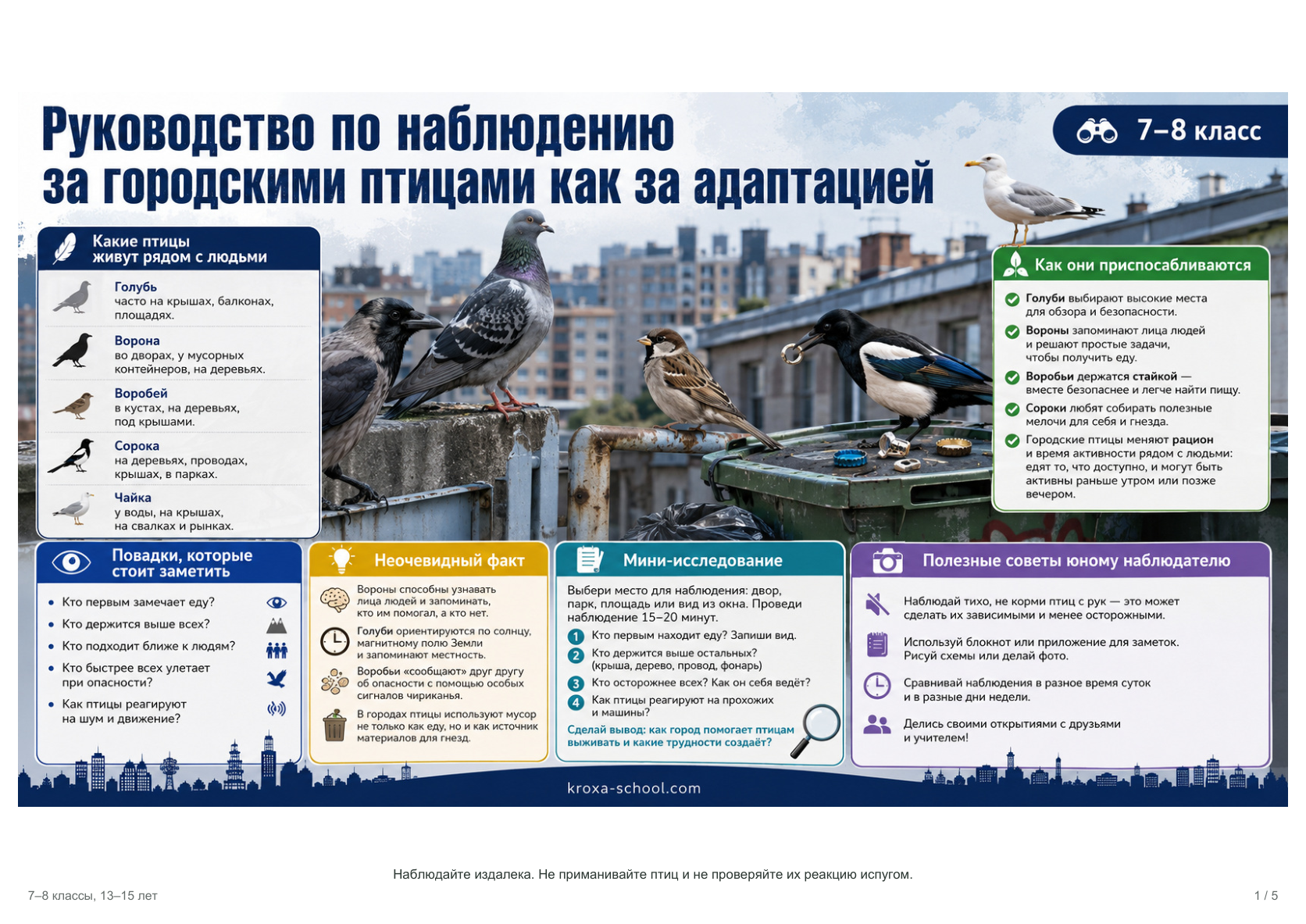 Реальная страница комплекта «Смотри внимательнее», превью 1