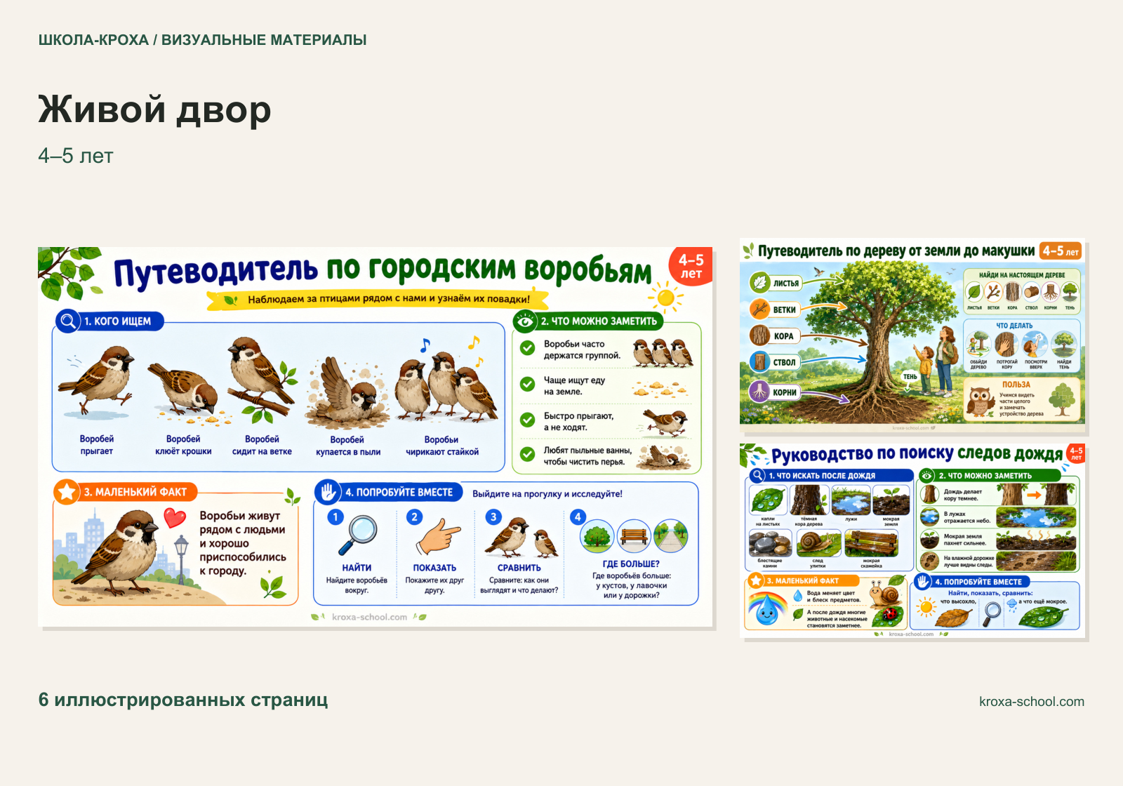 Обложка «Живой двор»