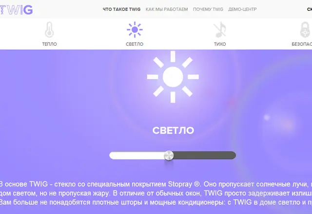 Case: Окна TWIG