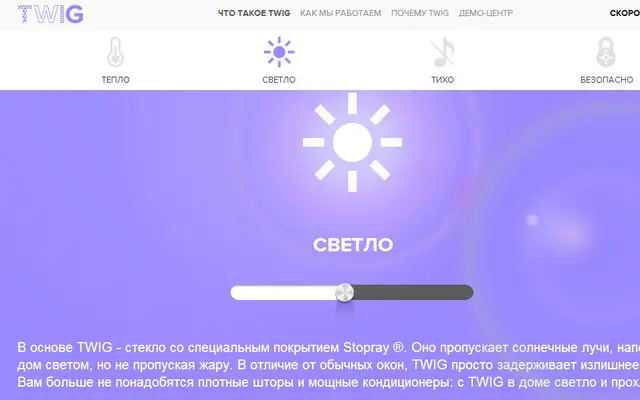 Case: Окна TWIG