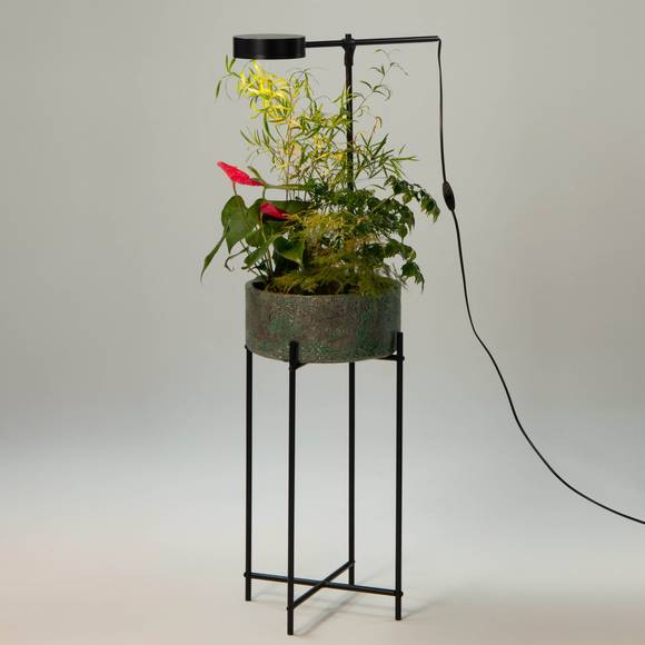 Светильник для растений GoGrow Floor Lamp - черный #1