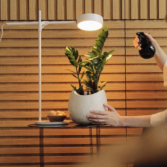 Светильник для растений GoGrow Table Lamp - белый #1