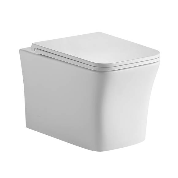 Унитаз подвесной безободковый HOLLER VESSEL #1