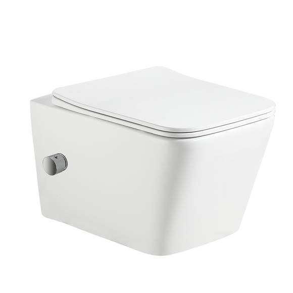 Унитаз подвесной безободковый HOLLER BLOCK BIDET #1