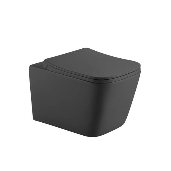 Унитаз подвесной безободковый HOLLER BLOCK MDG #1