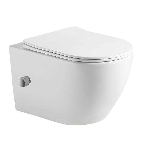 Унитаз подвесной безободковый HOLLER WALL BIDET #1