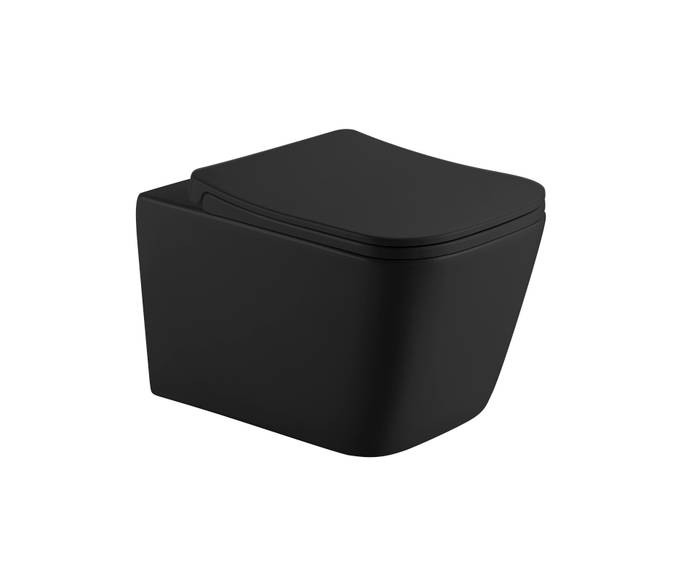 Унитаз подвесной безободковый HOLLER BLOCK MB #1