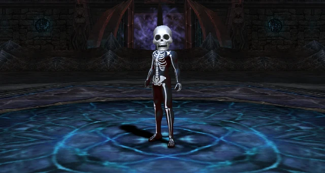 Skeleton