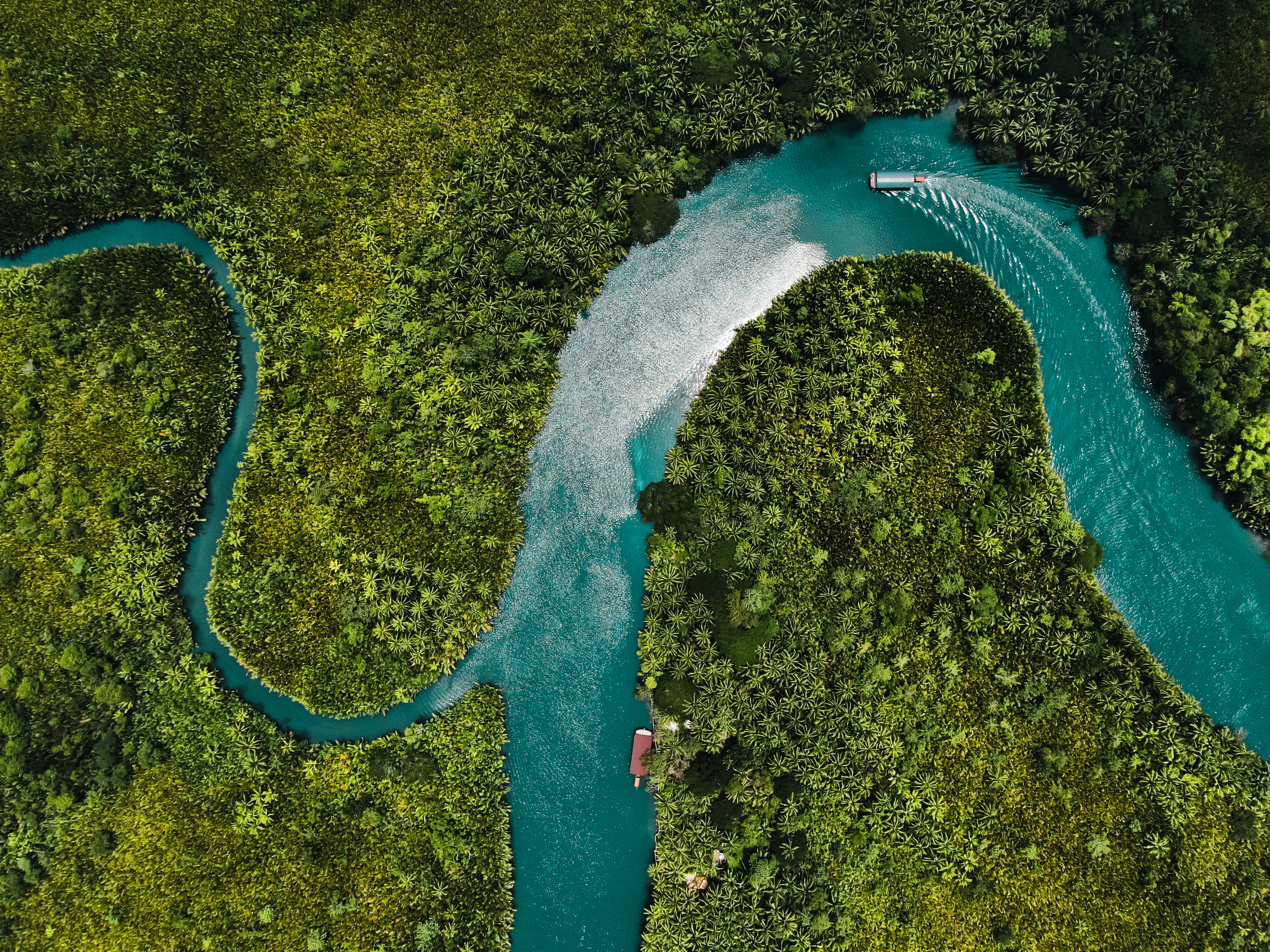 Expedition Brazil: From the Amazon Delta to Bahia Shores - Swan Hellenic