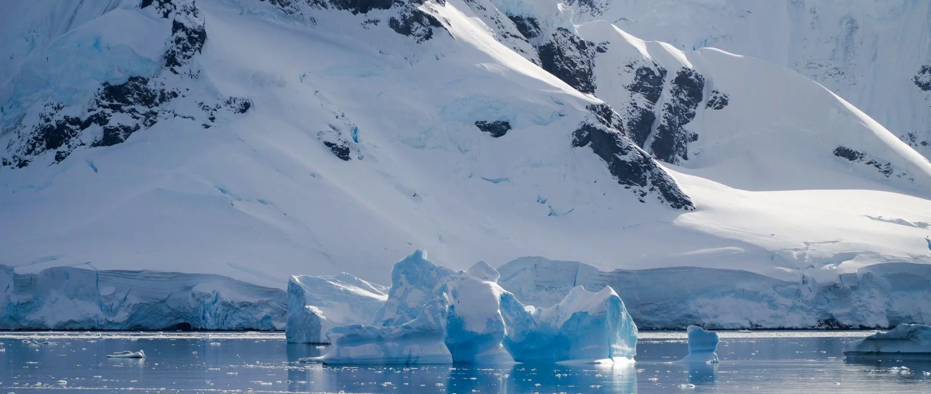 Cruise to the Antarctic Circle — image 3