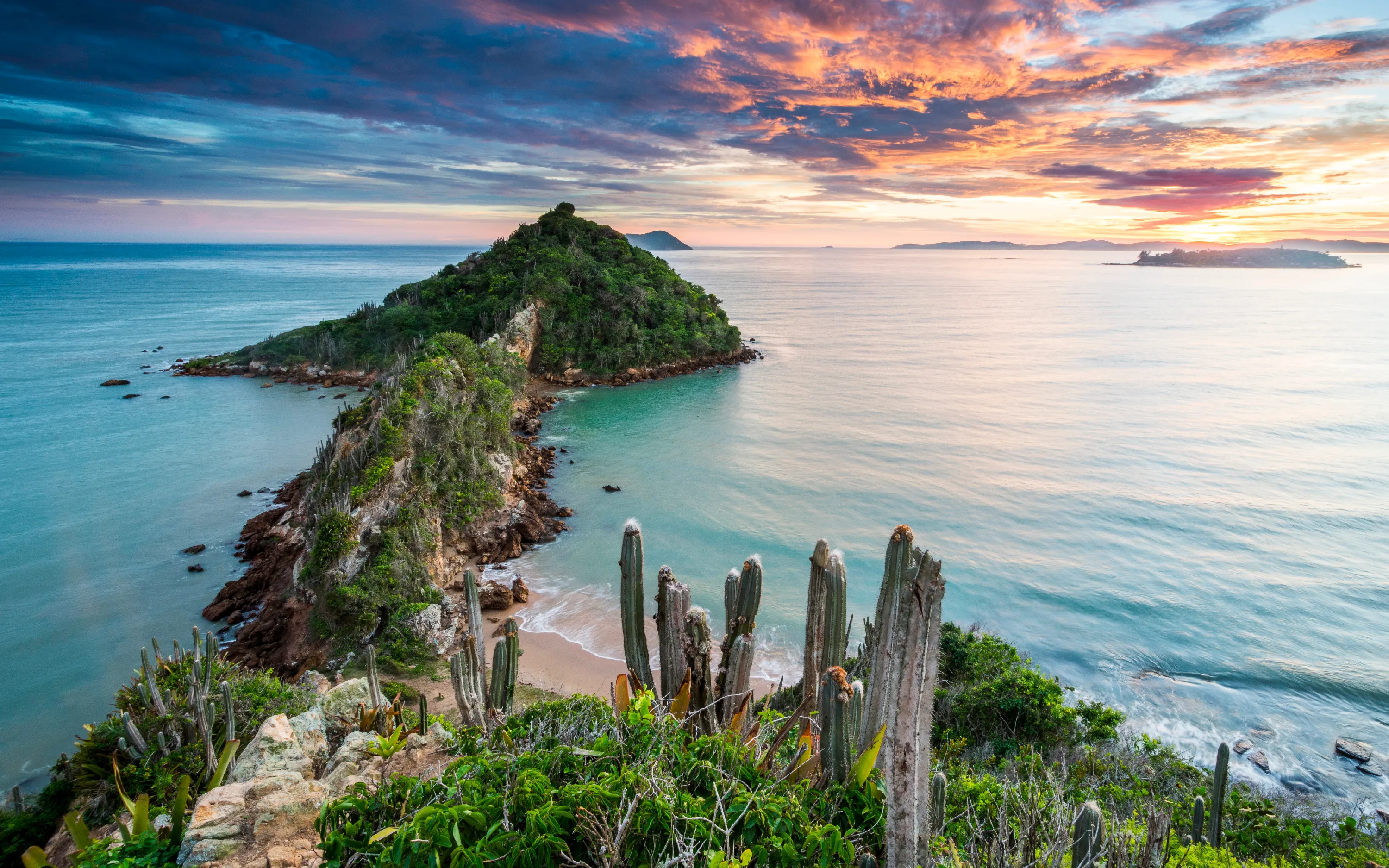 Soul, Samba and Sea: Journey to Heart of Brazil — image 3