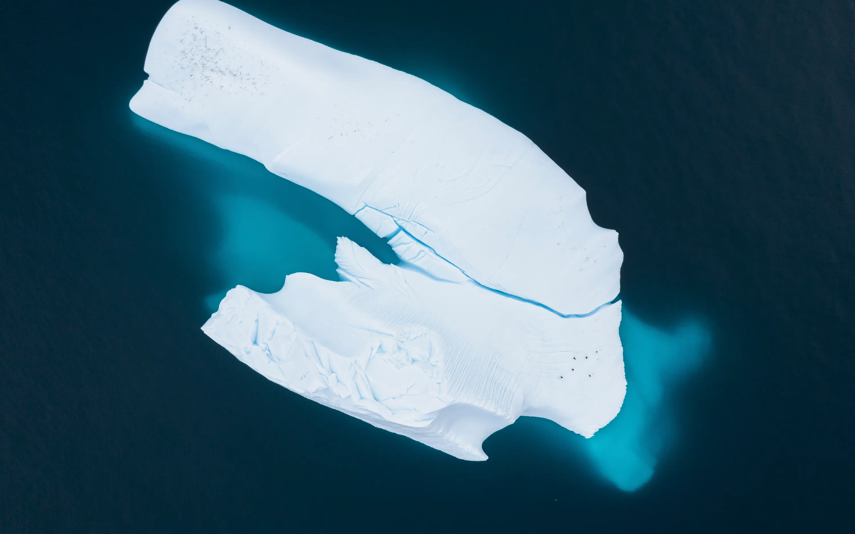Cruise to the Antarctic Circle — image 3